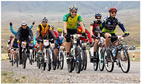 自动攻击网站工具下载